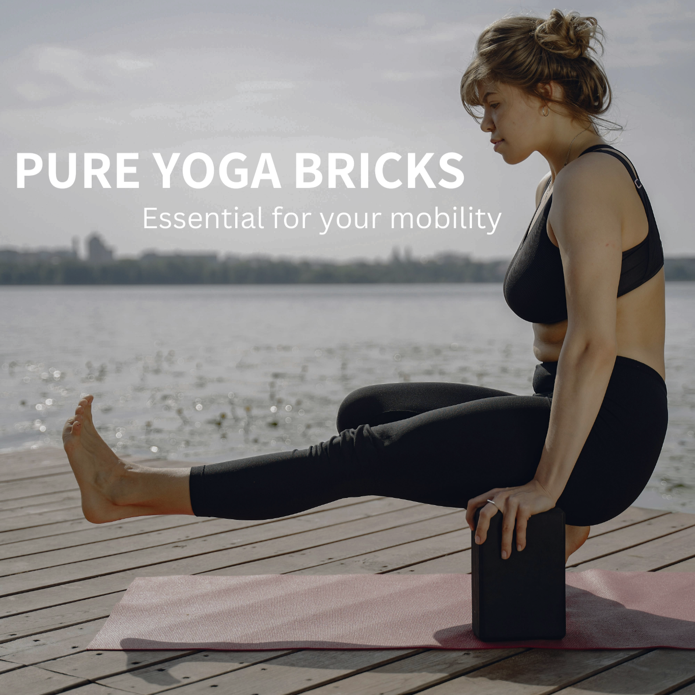 Yoga Bricks